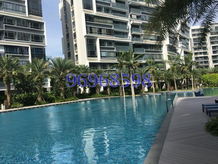 The Palette (D18), Condominium #108484342